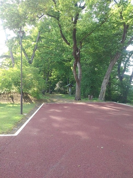 写真: ゆうゆうパークの丘の舗装された道（5月3日）