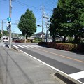 写真: 街路樹と道路（6月3日）