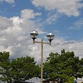 写真: 街灯と街路樹（6月4日）