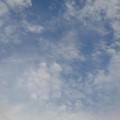 写真: 鱗雲（6月21日）