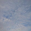 写真: 夕方の鱗雲（6月21日）