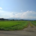 写真: 水田と山（8月1日）