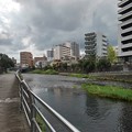 写真: 市街地の中の川（7月21日）