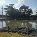 写真: 柵と池と映り込み（8月5日）