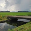 写真: 水田沿いの用水路の橋（7月11日）