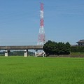 写真: 赤と白の鉄塔（7月24日）