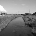 川崎城跡の橋から見えた川・モノクロ（7月16日）