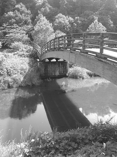 写真: 川崎城跡の橋・モノクロ（7月16日）