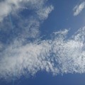 写真: 青空と雲（8月8日）