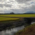 Photos: 用水路と水田（9月1日）