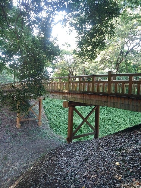 写真: 木製陸橋（8月12日）