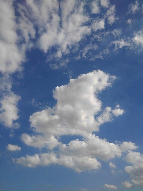 写真: 爽やかな雲（9月1日）