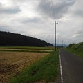 Photos: 水田沿いの道（9月11日）