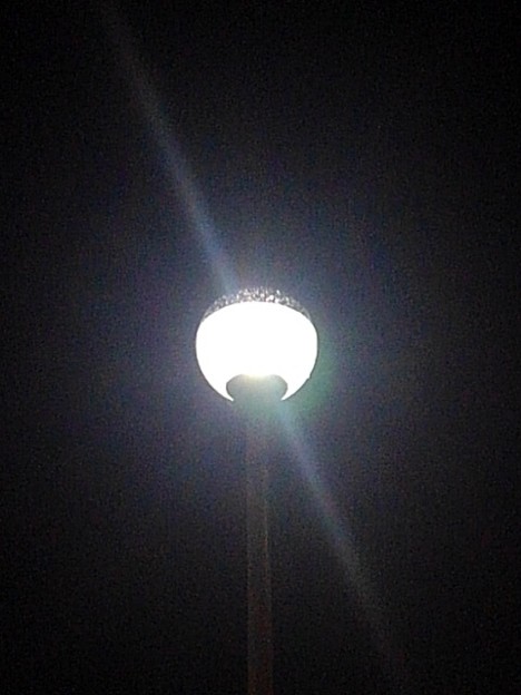 写真: 夜のシングル街灯（9月17日）