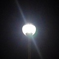 Photos: 夜のシングル街灯（9月17日）