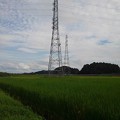 Photos: 鉄塔と水田（9月11日）