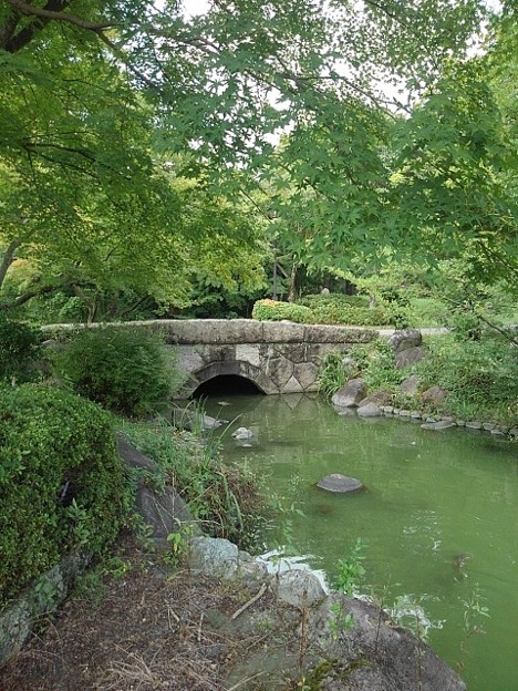 奥の橋の見える池（9月18日）