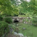 奥の橋の見える池（9月18日）
