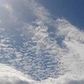 写真: 鱗雲（10月10日）