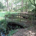 写真: 那須野が原公園の森の小さな橋（9月18日）
