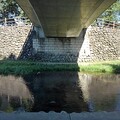 写真: 橋の真下の土手と川（9月24日）