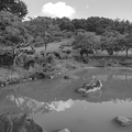 Photos: 大きい池・モノクロ（9月18日）