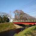 Photos: 川と橋（10月27日）