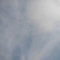 Photos: 薄い雲（11月4日）
