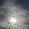 Photos: 太陽を隠す雲（11月4日）