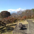 Photos: 長峰公園の丘の石のベンチ（11月1日）