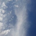 Photos: 薄い雲と鱗雲（11月7日）