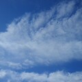 Photos: 長い雲（11月11日）