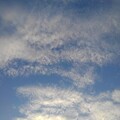 Photos: さざ波のような雲（11月15日）