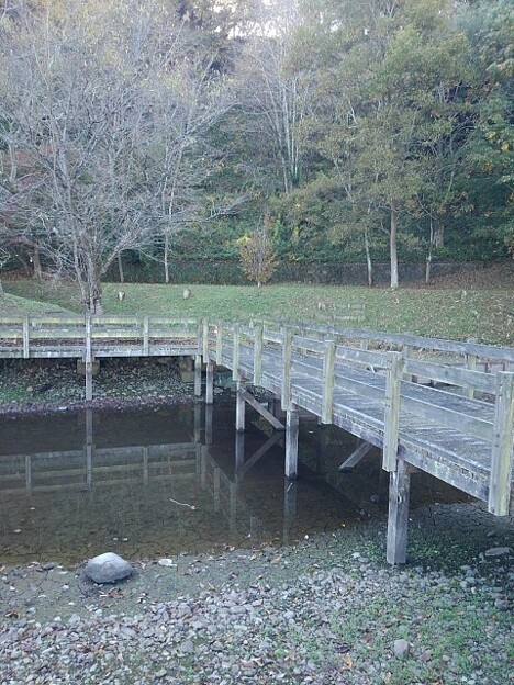川崎城跡の木製の池の橋（11月8日）