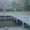 写真: 川崎城跡の木製の池の橋（11月8日）
