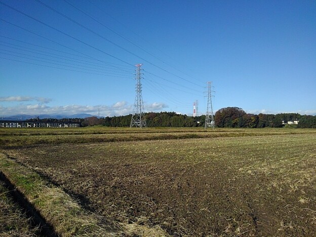 Photos: 水田と鉄塔（11月11日）