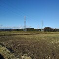 Photos: 水田と鉄塔（11月11日）
