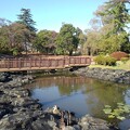 写真: 長峰公園の池と橋（11月1日）