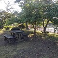 長峰公園の池の近くのテーブルのある広場（11月1日）