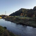 写真: 川崎城跡の橋から見えた川（11月8日）