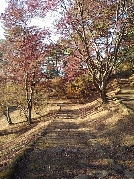 烏ヶ森公園の丘の緩やかな階段（12月9日）
