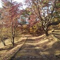 烏ヶ森公園の丘の緩やかな階段（12月9日）