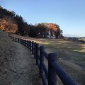 写真: 烏ヶ森公園の丘の斜面の柵（12月9日）