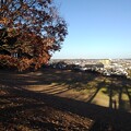 写真: 烏ヶ森公園の丘の斜面の広場（12月9日）