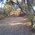 写真: 烏ヶ森公園の丘の入口あたりの景色（12月9日）