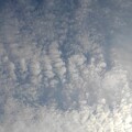写真: 鱗雲（12月28日）