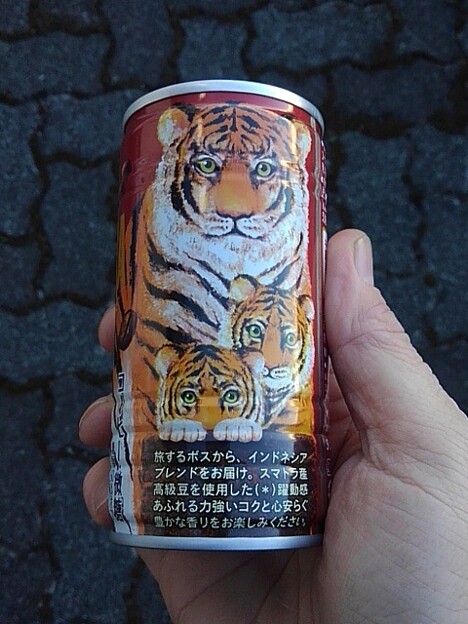 缶コーヒーの虎の絵（1月4日）