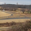 ゆうゆうパークの丘の上からの眺め（1月2日）