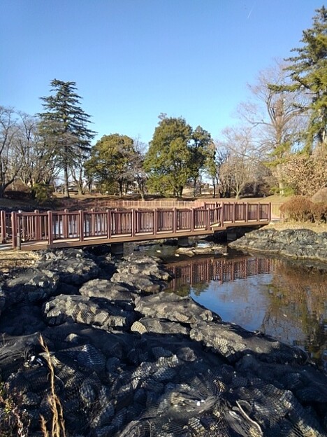 長峰公園の池の橋（1月1日）