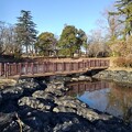 写真: 長峰公園の池の橋（1月1日）